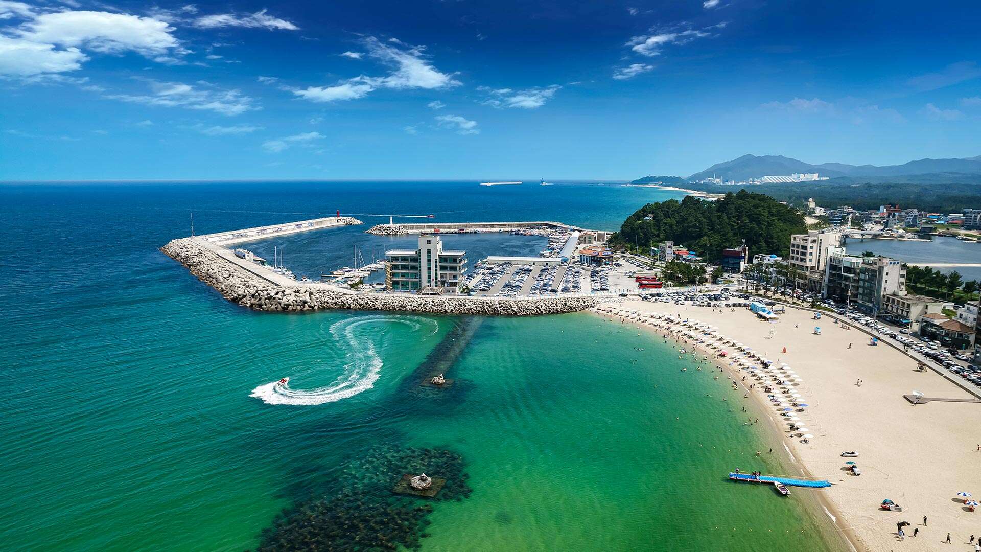 안목해변에서 해수욕을 즐기는 사람들 01