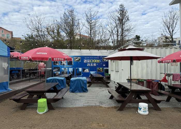 경포다이브리조트(스쿠버다이빙)