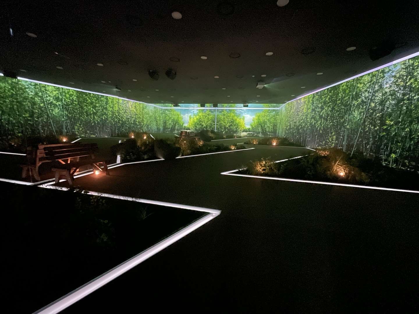 강릉 메타버스 체험관