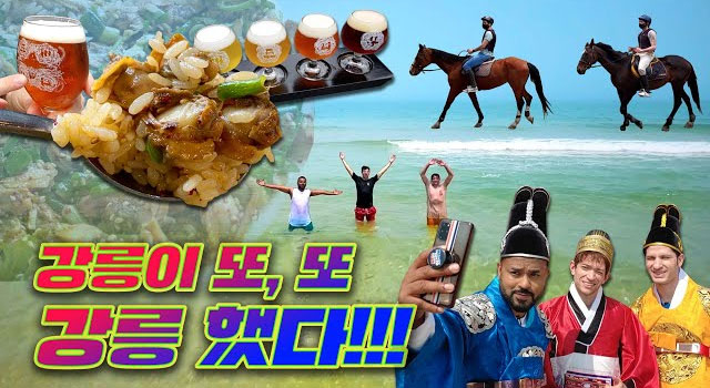 [강릉관광포털] 354 in 강릉 | 강릉에 가면~ 승마도 하고