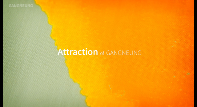★5색-Beautiful city GANGNEUNG