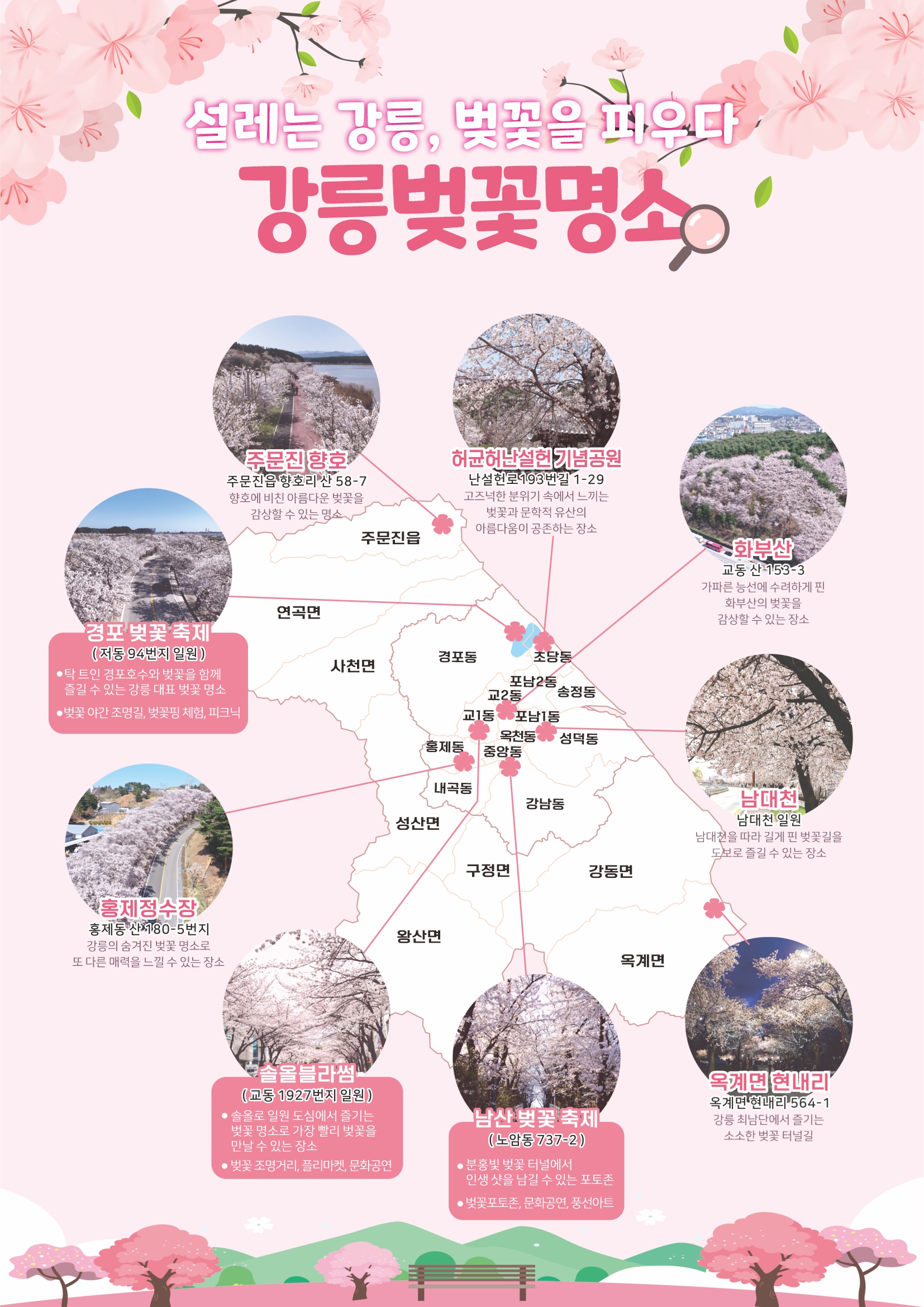 강릉벚꽃명소지도.jpg